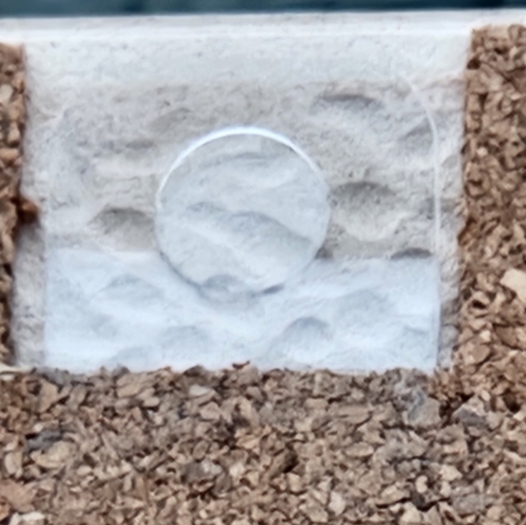 Haida Art - Blackfish Anthony Joseph - Picture 6 of 8